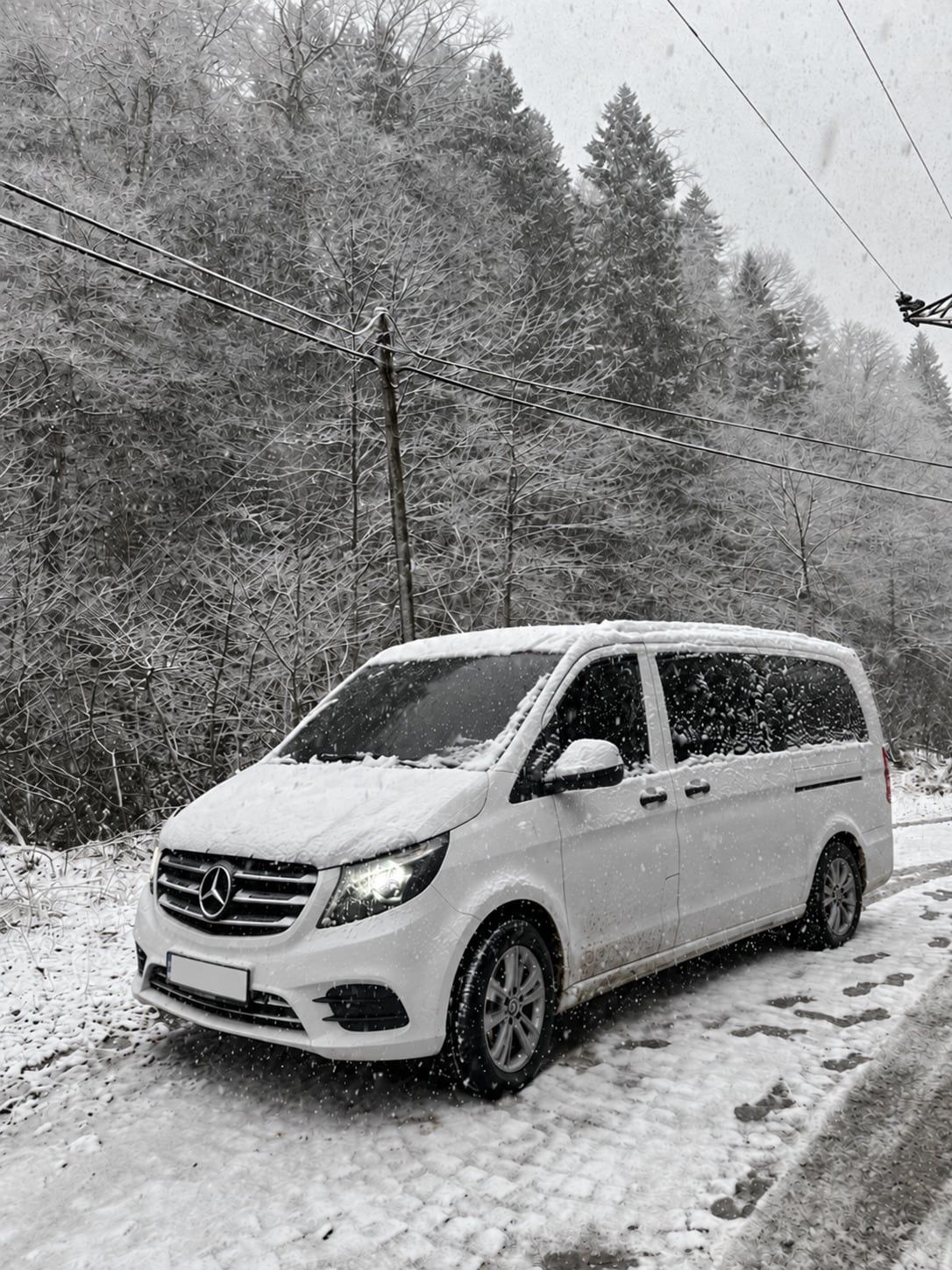 Kar yağışı altında ladin ormanı kenarında beyaz Mercedes Vito